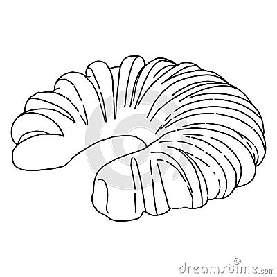 Twisted roll.Cakes in the style of Doodle.Outline drawing by hand.Black and white image.Monochrome.Bakery.Sweets.Sponge roll with Vector Illustration