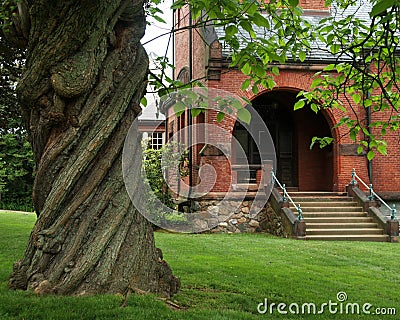 Twisted Tree and Town Library Stock Photo