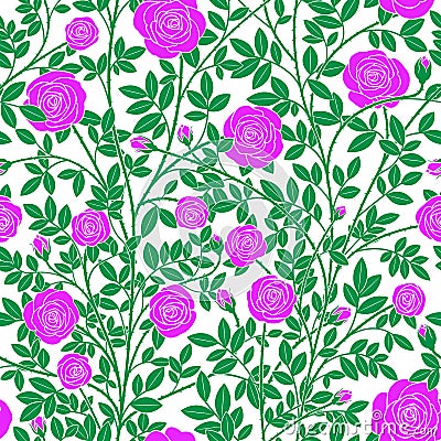 Twisted violet roses Vector Illustration