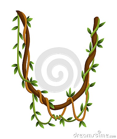 Twisted wild lianas branches banner. Jungle vine plants. Rainforest flora and exotic botany. Woody natural branches Vector Illustration