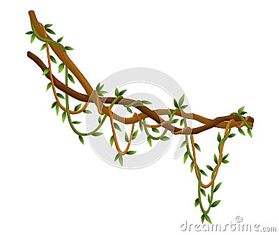 Twisted wild lianas branches banner. Jungle vine plants. Rainforest flora and exotic botany. Woody natural branches Vector Illustration