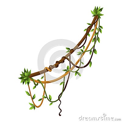 Twisted wild lianas branches banner. Jungle vine plants. Woody natural tropical rainforest Vector Illustration