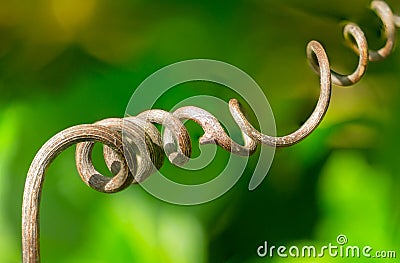 Twisting and Winding Stock Photo