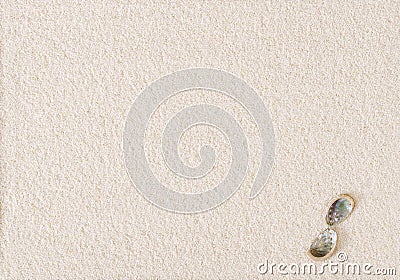 Two abalone shells on flat white sand surface Stock Photo