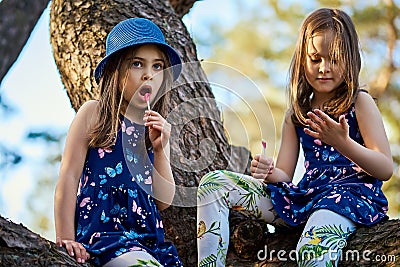 Two girls in summer dresses are climbing a tree in the forest Stock Photo