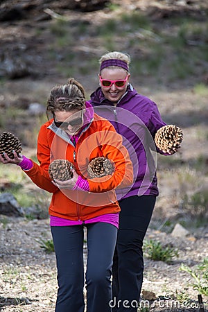 Two adult females happily walk with an armful of large Jeffrey pine cones found on the forest floor Stock Photo