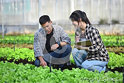 Two agronomists inspect plant disease and insects in organic farm. Agribusiness concept. Stock Photo