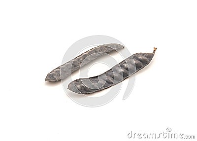 Two Albizia lebbeck black long flat pods with seed inside isolated on white background Stock Photo