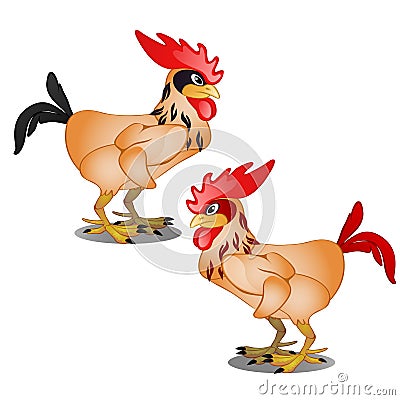 Two animated cartoon plucked rooster with black and red tail isolated on white background. Vector illustration. Vector Illustration