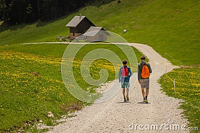 Two anonimous hikers strolling on a gravel path in a beautiful green valley with flowers and some cottages along the way Stock Photo