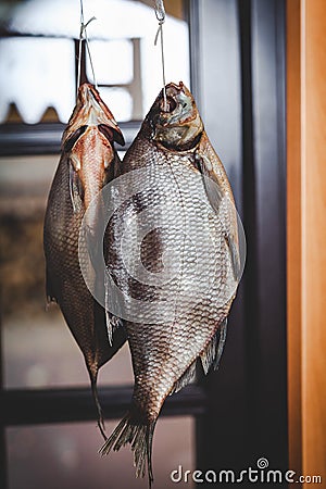 Two appetizing dried fish weigh on blurred background Stock Photo