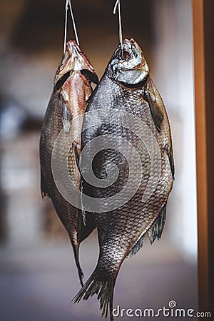 Two appetizing dried fish weigh on blurred background Stock Photo