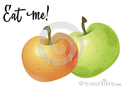 Two apples isolated on white background. Vector Illustration Stock Photo