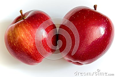 Two apples Stock Photo