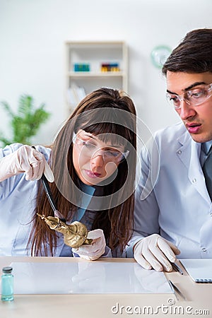 The two archeologists looking at ancient gold lamp Stock Photo