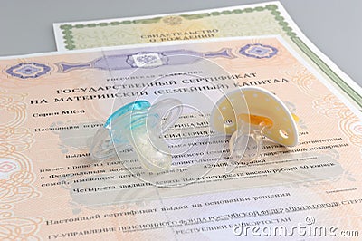 Two baby's dummies with maternal and birth certificates on gray Stock Photo