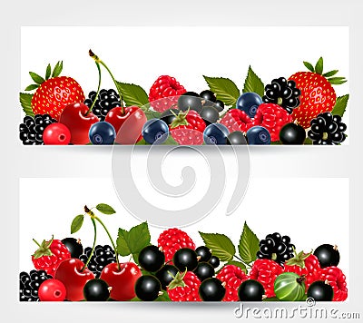 Two banners with delicious ripe berries. Vector Illustration