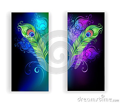 Two banners with peacock feathers Vector Illustration