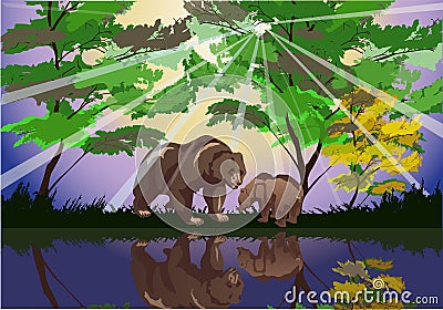 Two bears near forest lake Vector Illustration