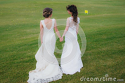 Two beautiful brides holding hands on the green field Stock Photo