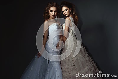 Two beautiful brides with perfect make up and hairstyle wearing luxurious wedding dresses and splendid earrings. Stock Photo
