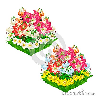 Two beautiful flower beds. Vector isolated Vector Illustration