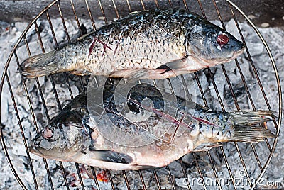 Two beautiful grilled European carps on barbecue Stock Photo