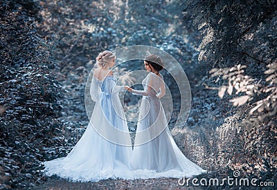 Two beautiful princess Stock Photo