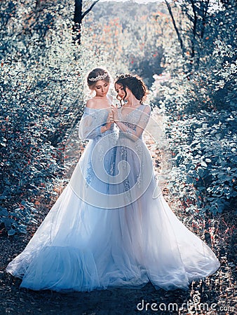 Two beautiful princess Stock Photo