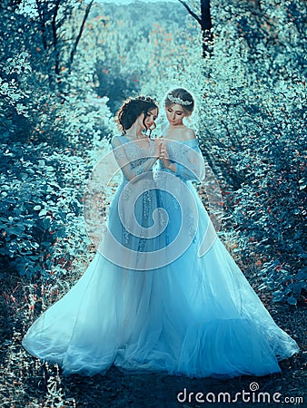 Two beautiful princess Stock Photo