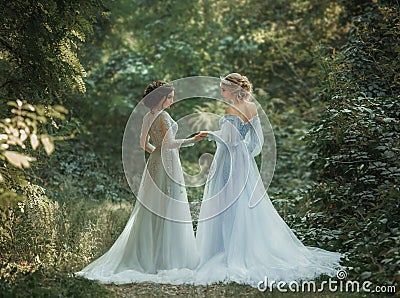 Two beautiful princess Stock Photo