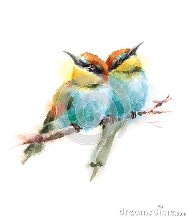 Two Birds Bee-eaters Looking in Opposite Directions Sitting on the Branch Watercolor Hand Painted Illustration Stock Photo