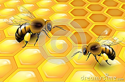 Two bees on honeycomb Cartoon Illustration