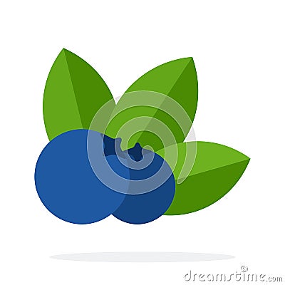 Two berries blueberry with leaves vector flat material design isolated object on white background. Vector Illustration