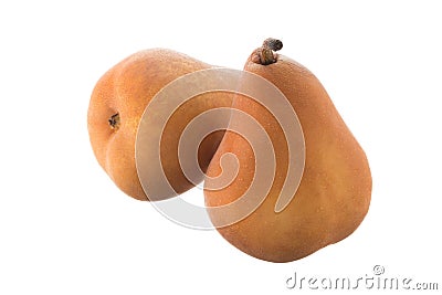 Two Beurre Bosc pears Stock Photo