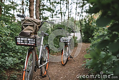 Two bicycle on a forest path, active lifestyle, outdoor sports Stock Photo