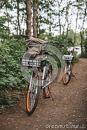 Two bicycle on a forest path, active lifestyle, outdoor sports Stock Photo