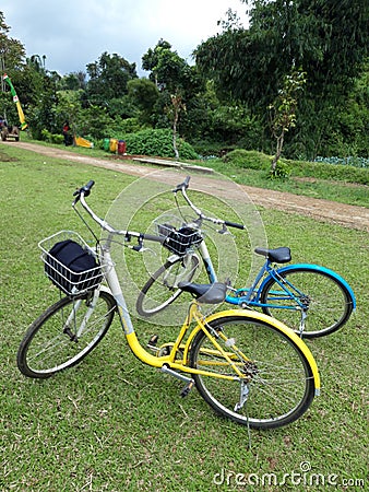 Two Bicycle Ready to Bike Park in the Garden Editorial Stock Photo