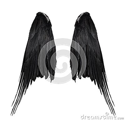 Two big black raven wings with big feathers isolated on white background Stock Photo