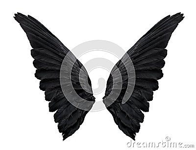 Two big black raven wings isolated on white background Stock Photo