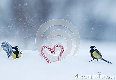 Two bird Tits flew to sweet candy lollipops in the form of hearts in the snow on a festive Valentine`s day Stock Photo