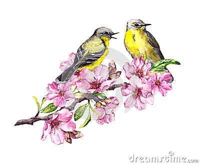 Two birds on blossom apple, cherry branch in pink flowers. Watercolor flowering tree with bird couple Stock Photo