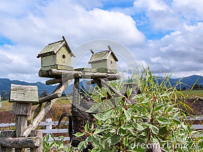 Two Birds houses on a wooden bench above a bush Stock Photo