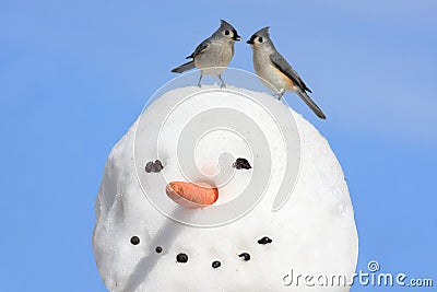 Two Birds On A Snowman Stock Photo