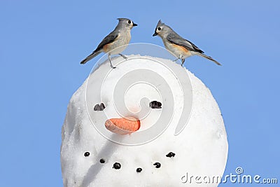 Two Birds On A Snowman Stock Photo