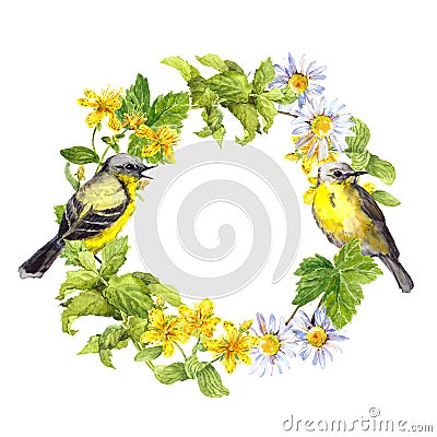 Two birds, wild herbs, meadow flowers. Floral wreath. Watercolor ring Stock Photo