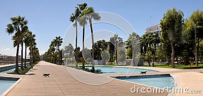 Two black cats in modern promenade - Limassol, Cyprus Editorial Stock Photo