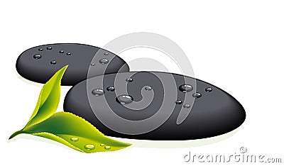 Two black pebbles with fresh leaf Vector Illustration