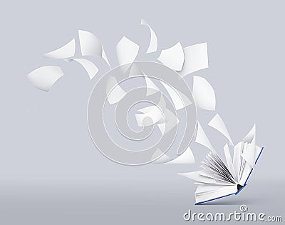 Two blank books with flying pages Stock Photo