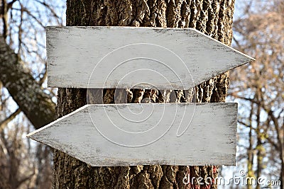 Two blank white weathered wooden signposts on a tree in the forest Stock Photo